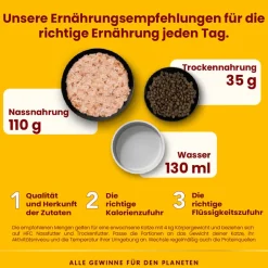 Almo Nature HFC Complete Katzenfutter Thunfisch mit Kürbis 70g