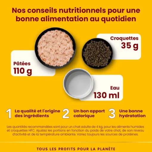 Almo Nature HFC Natural Hühnerfilet 70g