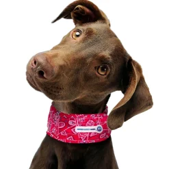 Aqua Coolkeeper Cooling Collar Red Western Kühlhalsband