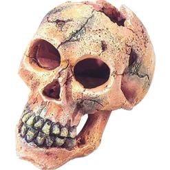 Aqua D'ella Dekor Totenkopf S 11cm