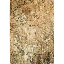 Brämswig Zierkorkrückwand Virgin 90x60cm