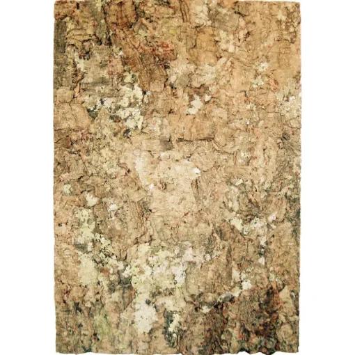 Brämswig Zierkorkrückwand Virgin 90x60cm