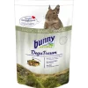 Bunny DeguTraum BASIC