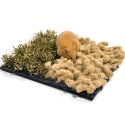 Bunny Schnüffelmatte InterActive