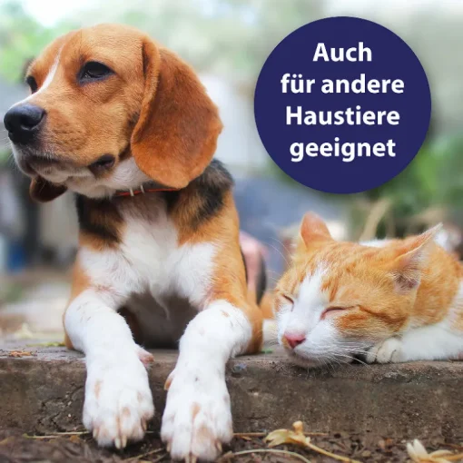 Canosept Hautpflegespray für Hunde 250ml