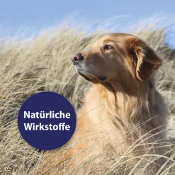 Canosept Hautpflegespray für Hunde 250ml