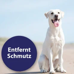 Canosept Ohrreiniger Hund 125ml