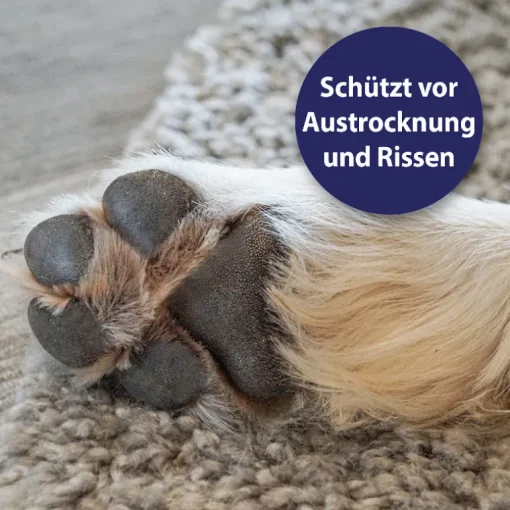 Canosept Pfotenpflege Hund 75g