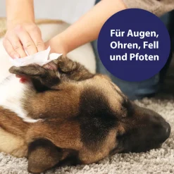 Canosept Universal Pflegetücher 160Stk.