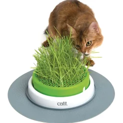 Catit Senses 2.0 Grass Planter