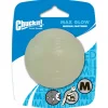 Chuckit! Lumineszensball Medium