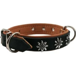 Colly Hundehalsband Edelweissdekor