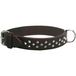 Colly Weichleder-Halsband, Hundehalsband aus gefüttertem Leder