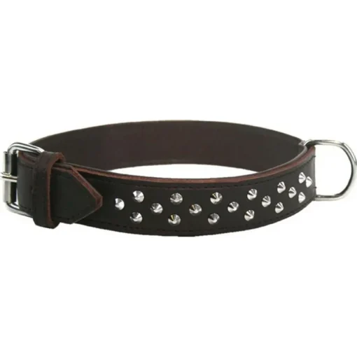 Colly Weichleder-Halsband, Hundehalsband aus gefüttertem Leder