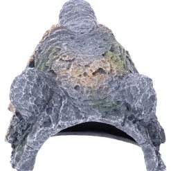 Deep Sea Bear Rock