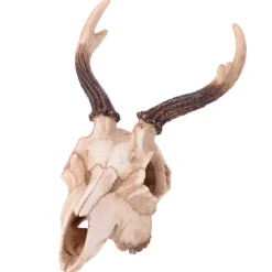 Deep Sea Deer Skull