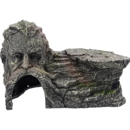 Deep Sea Old Man Rock
