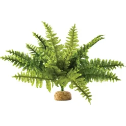 Exo Terra Boston Fern M