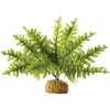 Exo Terra Boston Fern S