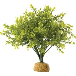 Exo Terra Boxwood Bush
