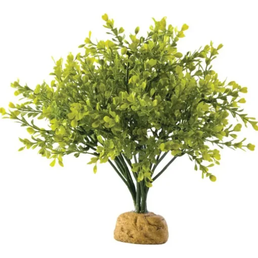 Exo Terra Boxwood Bush