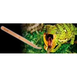 Exo Terra Futterpinzette Tweezers 29cm