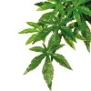 Exo Terra Jungle Plant Abutilon M