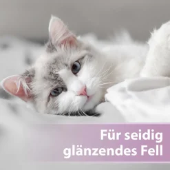 Felisept Fellpflegespray für Katzen 250ml