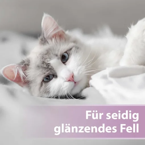Felisept Fellpflegespray für Katzen 250ml