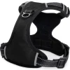 Freezack Hundegeschirr Mountain Soi schwarz