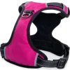 Freezack Hundegeschirr Mountain Soi M pink-schwarz