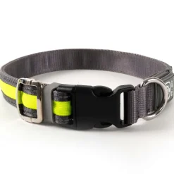 Freezack Leuchthalsband Light-Collar für Hunde gelb