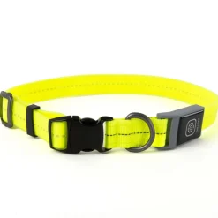 Freezack Leuchthalsband PVC für Hunde gelb