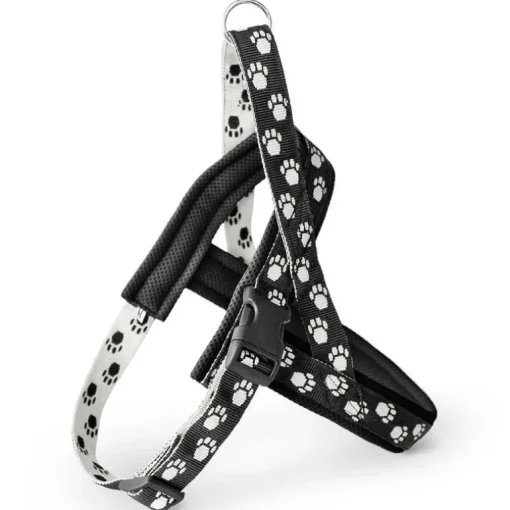 Freezack Nordic AB XL 64-88cm