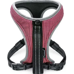 Freezack Sport Mini Soi