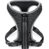Freezack Sport Soi