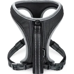 Freezack Sport Soi