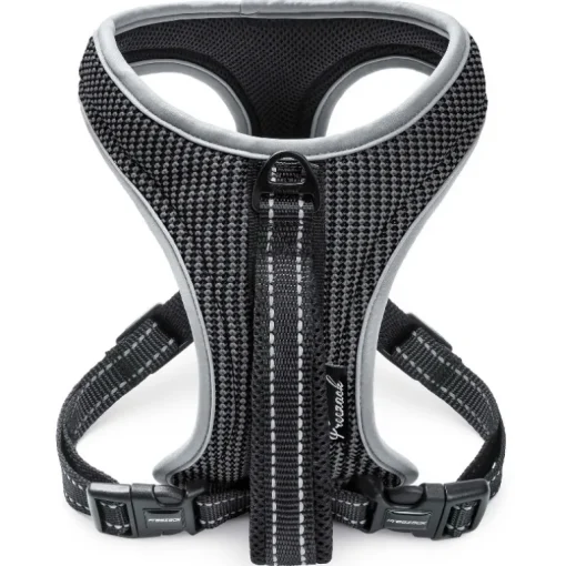Freezack Sport Soi