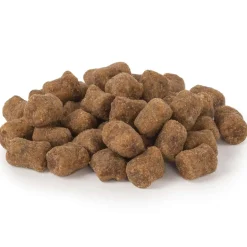In-Fluence Anti-Worm Hundesnack Huhn 100g