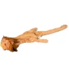 Josty Hundespielzeug Löwe 38cm