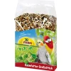 JR Birds Keimfutter Grosssittich 1kg