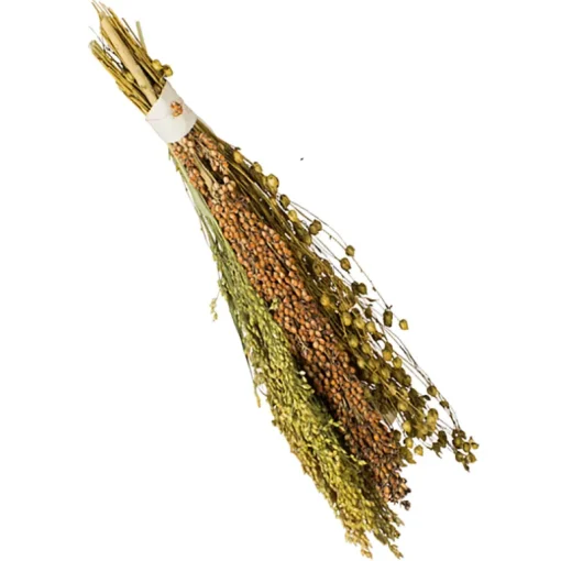 JR Birds Pick & Fly 130g