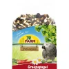 JR Birds Premium Graupapagei 950g