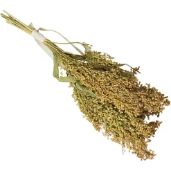 JR Birds Rispenhirse 100g