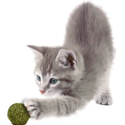 JR Cat Bavarian Catnip Katzenminze-Murmeln 10Stk.