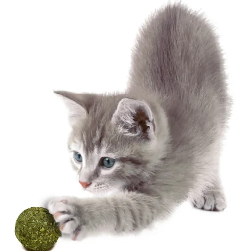 JR Cat Bavarian Catnip Katzenminze-Murmeln 10Stk.