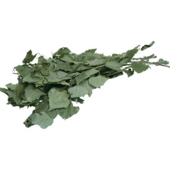 JR Ein Stück Natur Birken-Ernte 40g