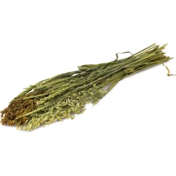 JR Ein Stück Natur Sommer-Ernte 80g