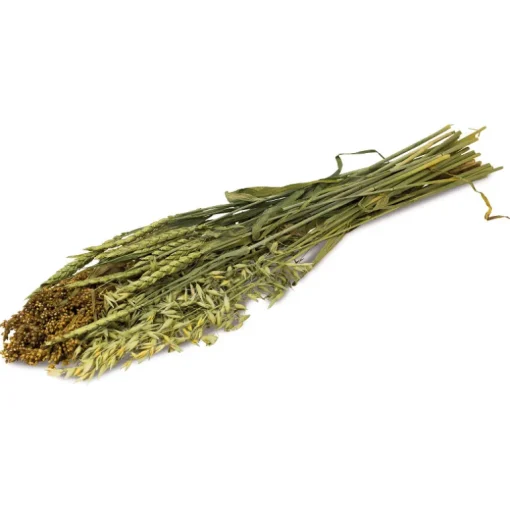 JR Ein Stück Natur Sommer-Ernte 80g