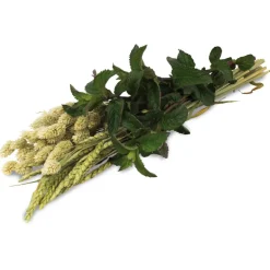 JR ESN Kräuter-Ernte 80g